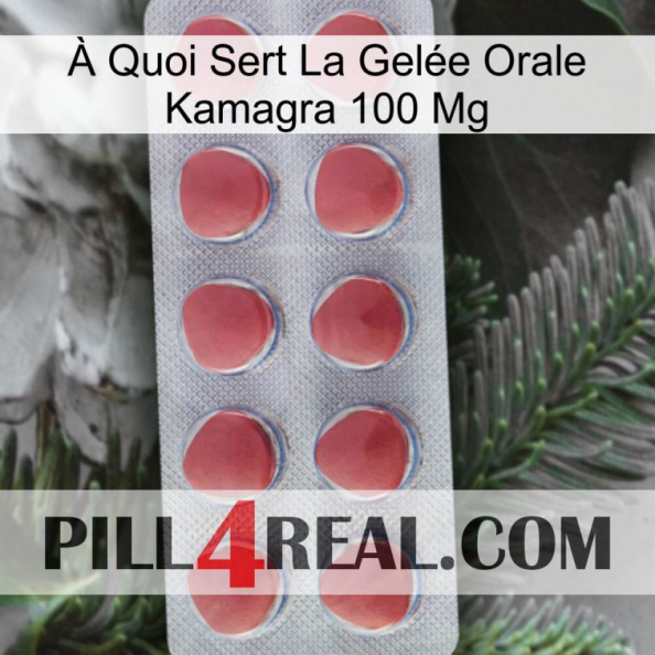 À Quoi Sert La Gelée Orale Kamagra 100 Mg 18.jpg